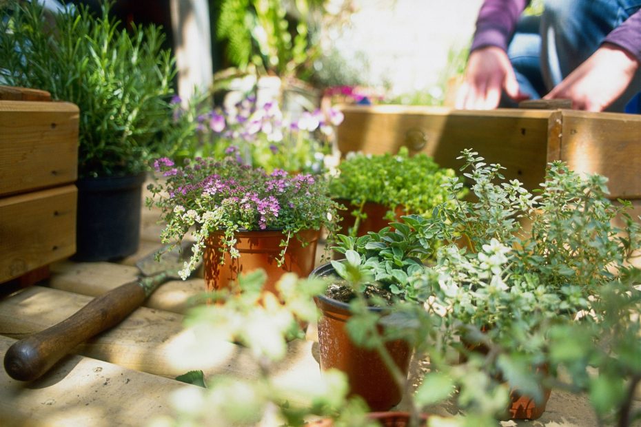 All You Need To Know About Garden Maintenance!