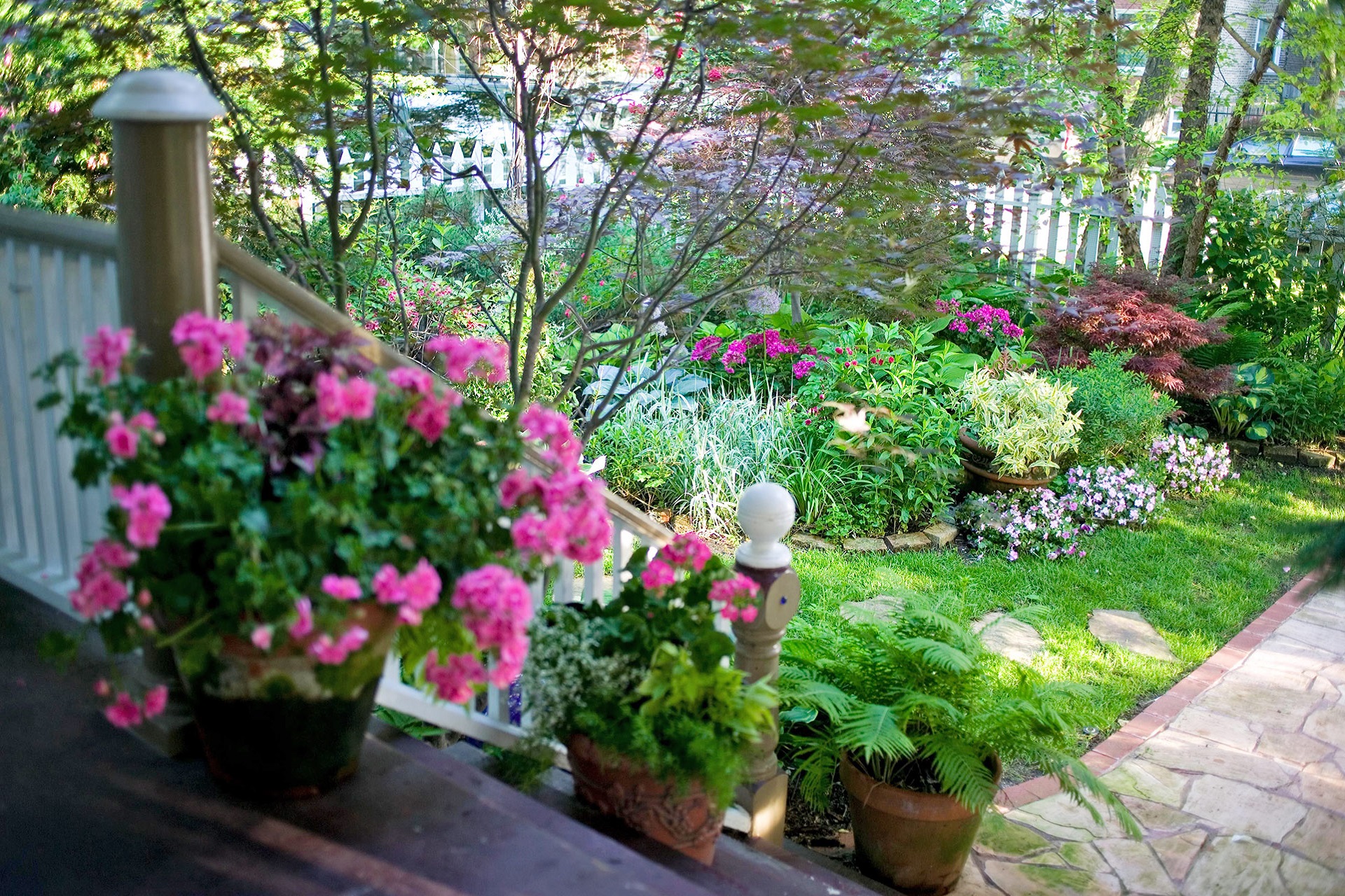 How To Keep Your Garden Healthily?